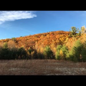 Meet your Posher, Timothy